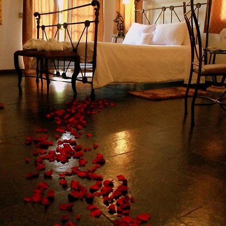 Hotel Caicara Bistro E Eventos Ltda อิตาเปรูนา ภายนอก รูปภาพ